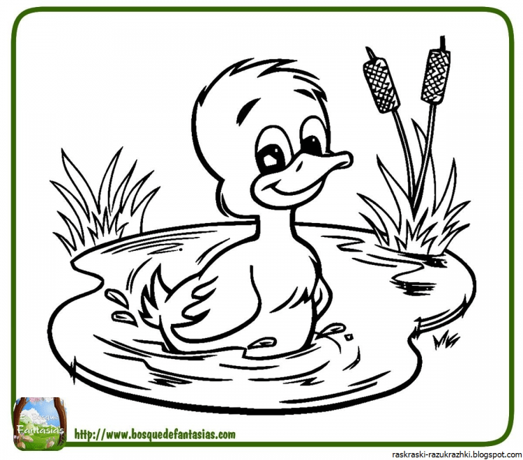 Утенок раскраска для малышей