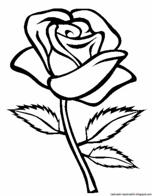 Трафарет цветы на клумбе