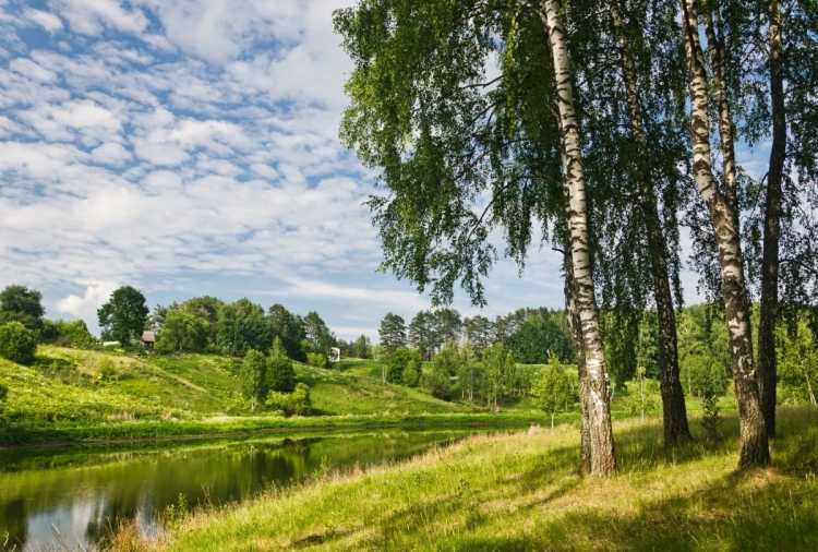 Брянск река Березка