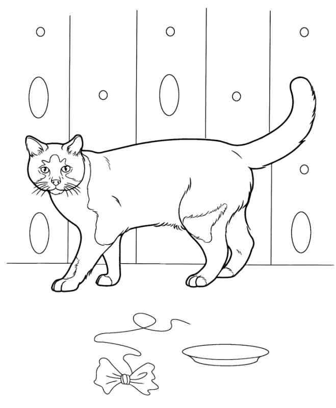 Котенок для рисования