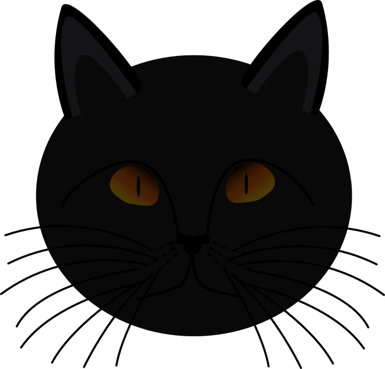 Мордочка черного кота