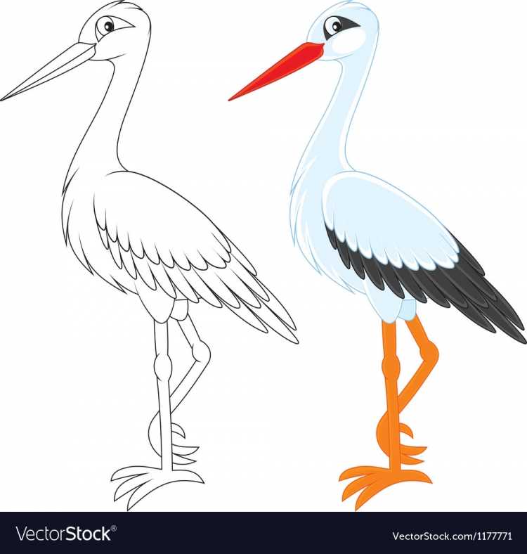 Нарисовать аиста