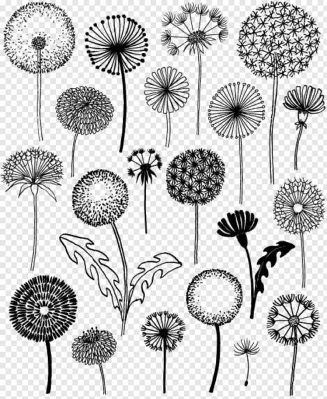 Раскраска Весна одуванчики