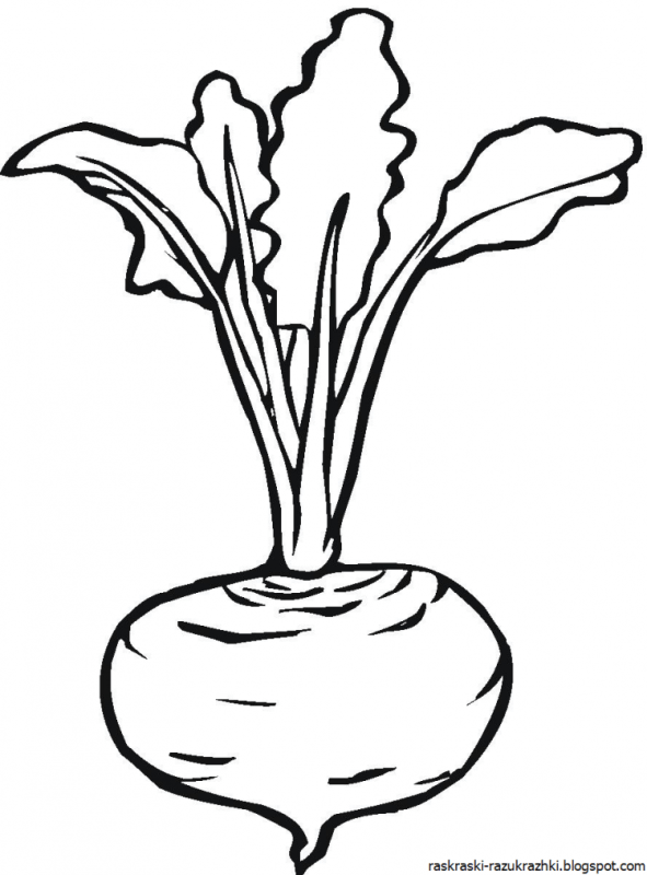Овощи раскраска для детей