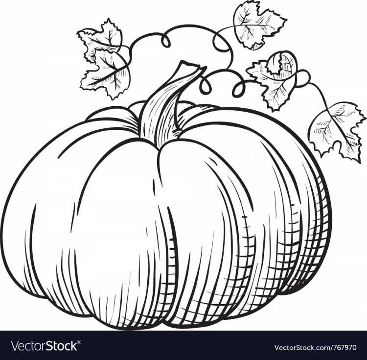 Тыква раскраска для детей