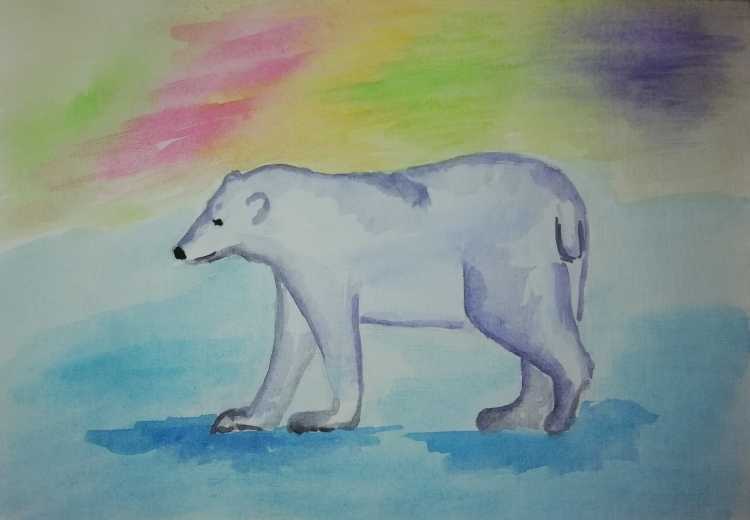 Звери Антарктиды для детей