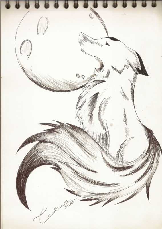 Аниме животные рисунки карандашом