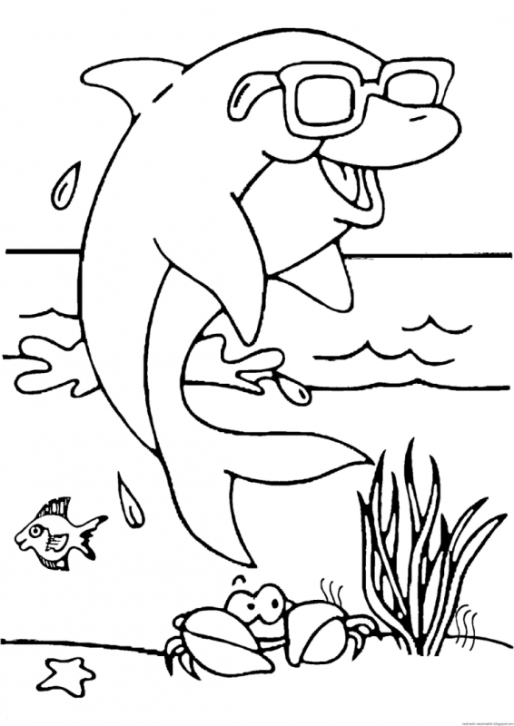 Беломордый Дельфин раскраска