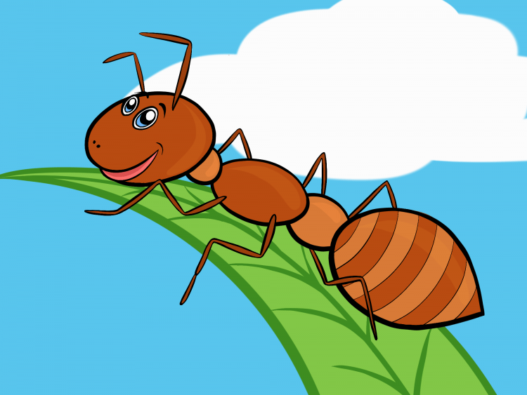 Муравей рисунок для детей