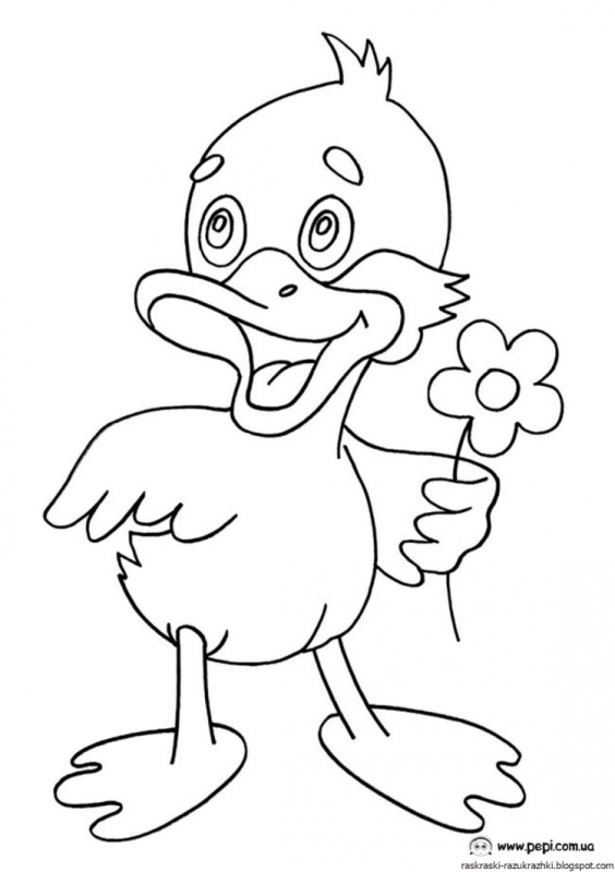 Цыпленок раскраска для детей