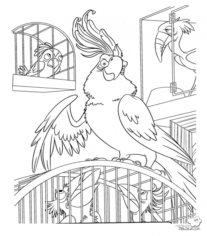 Раскраска попугай