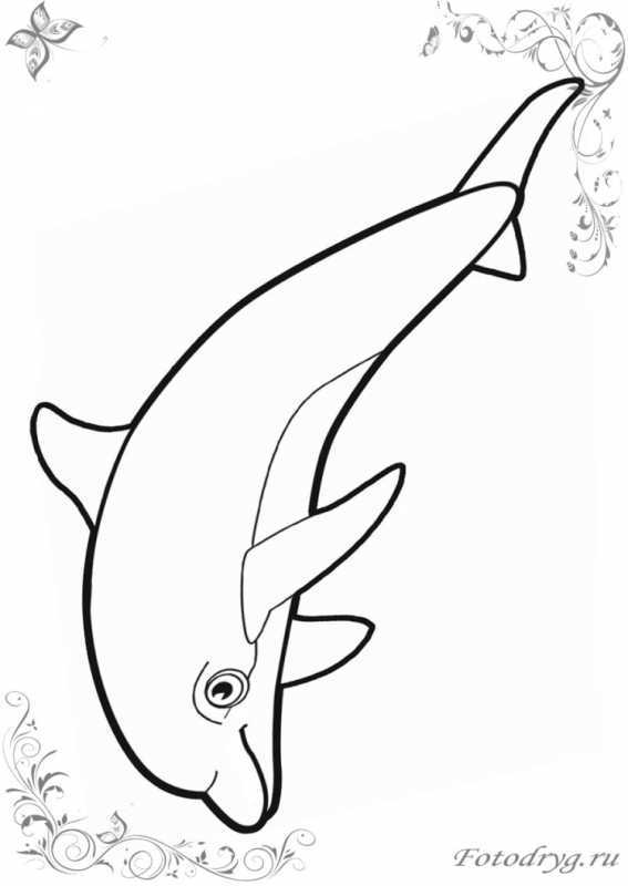Рисунок Дельфин без цвета