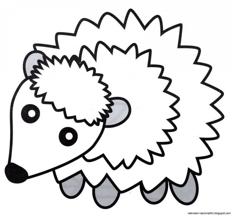 Раскраски для девочек Ежик