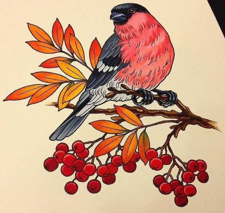 Новогодние синички раскраска