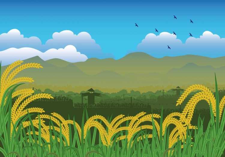 Поле рисунок