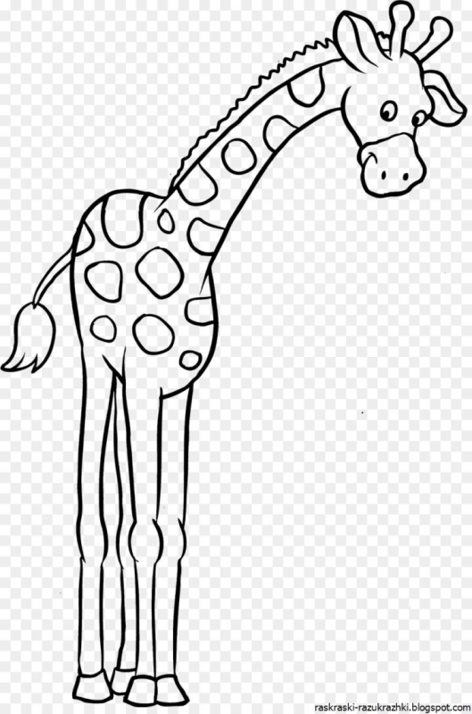 Жираф. Раскраска