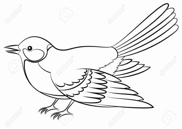 Контур птицы синицы