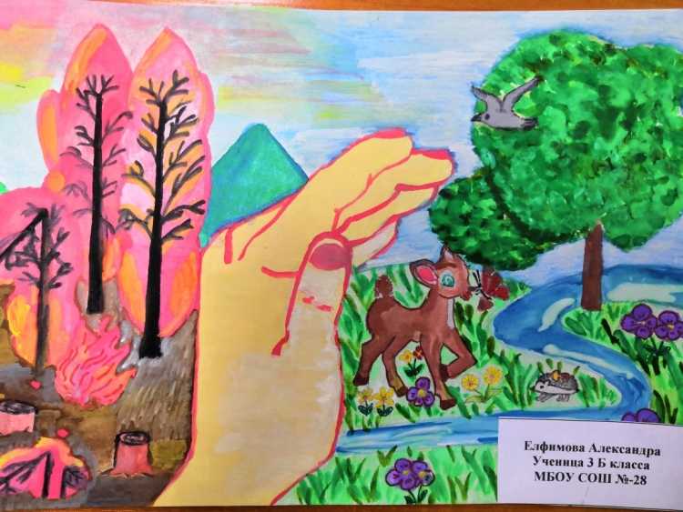 День леса рисунки