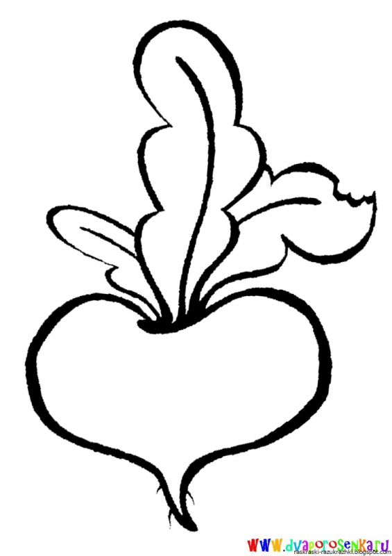 Свекла раскраска для малышей