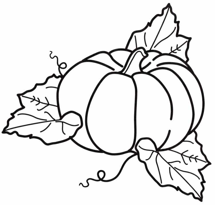 Тыква раскраска для детей