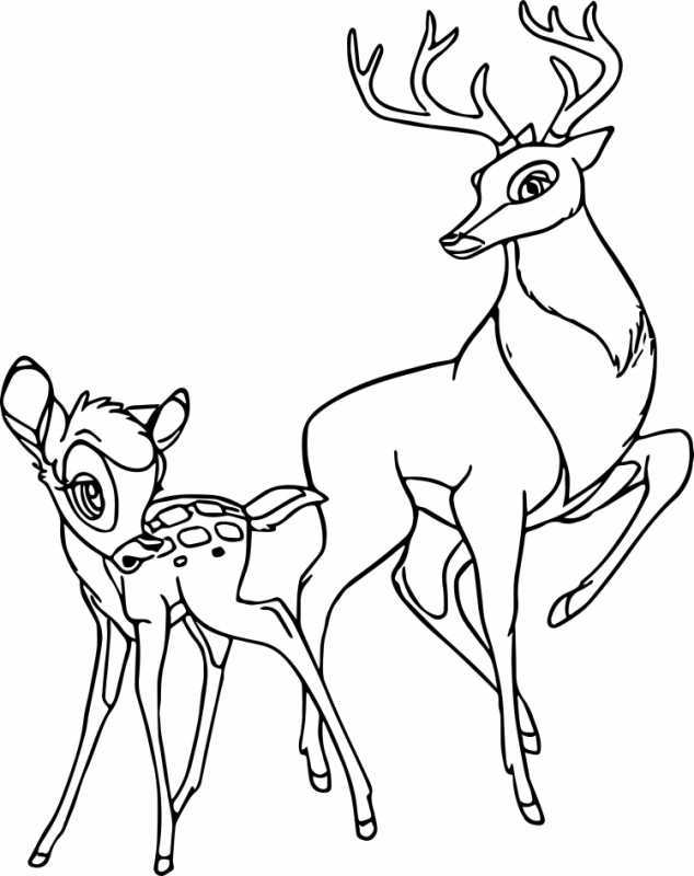 Раскраска антистресс олень