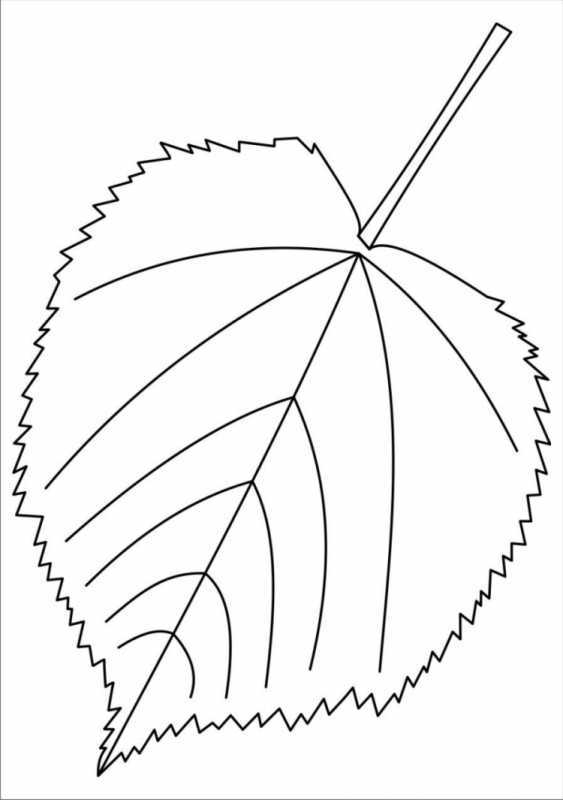 Листья раскраска для детей