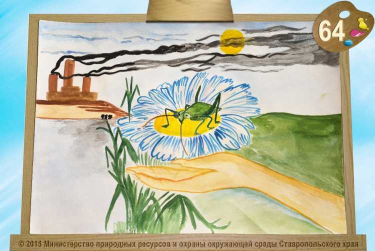 Рисунки на конкурс зеркало природы