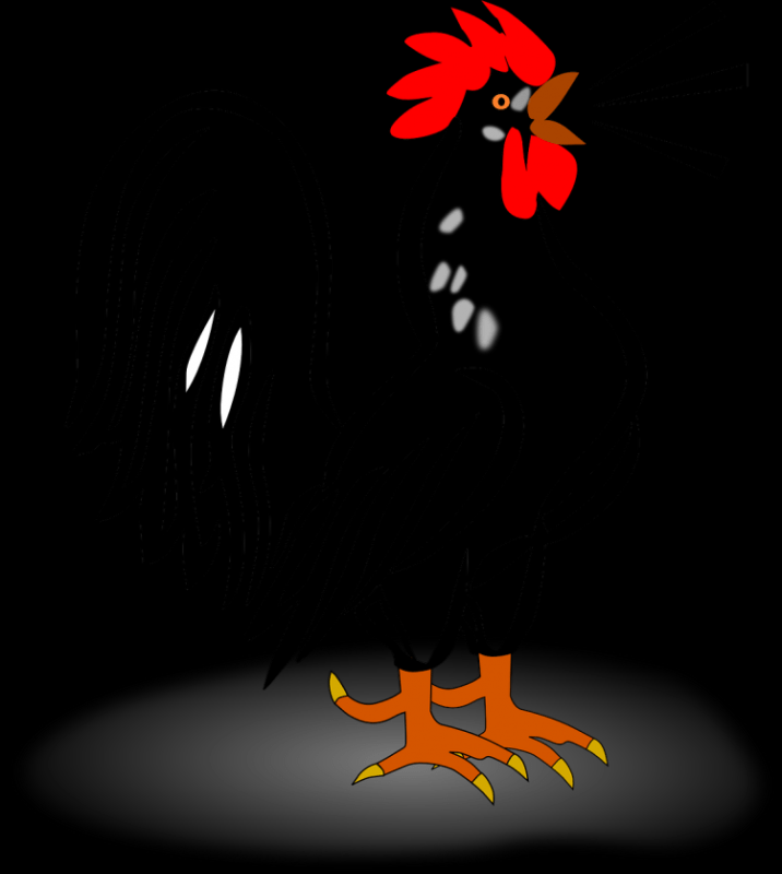 Изображение петуха для детей