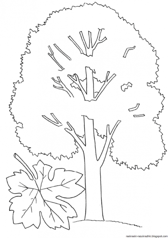 Нарисовать березу