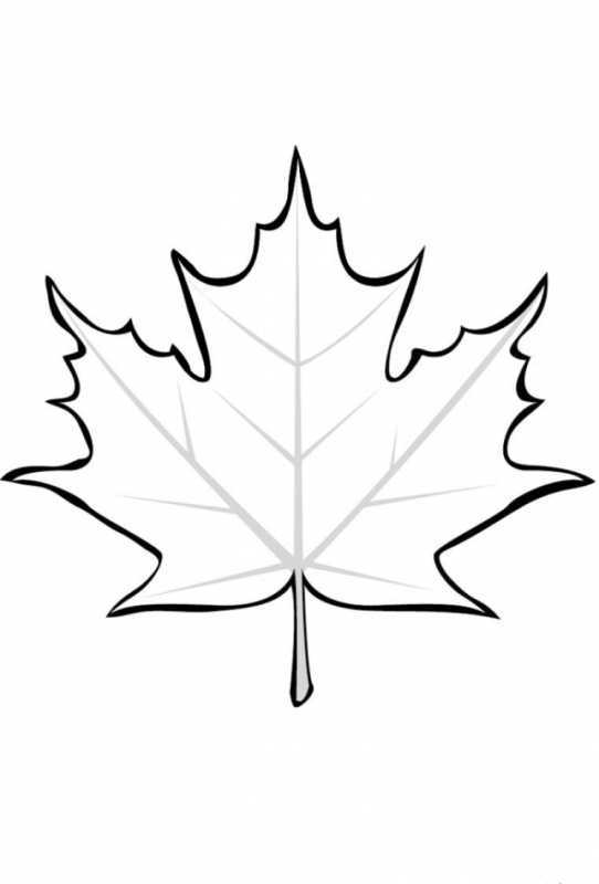Трафарет листьев