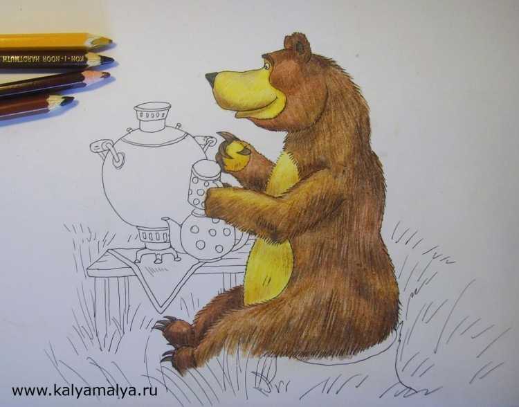Медведь рисунок карандашом цветной