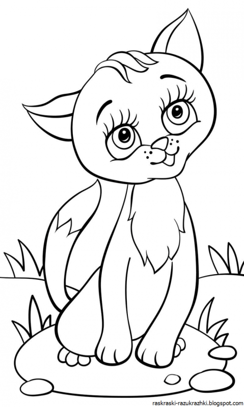 Раскраска котик пушистый