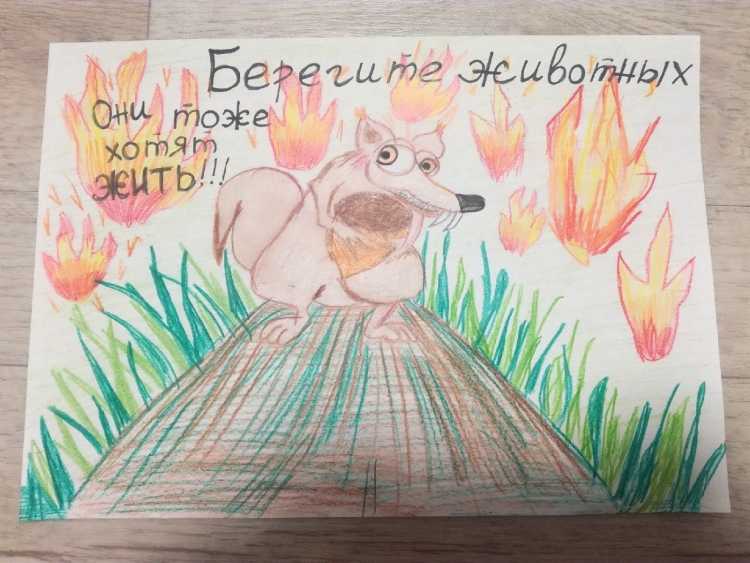 Рисунок берегите животных