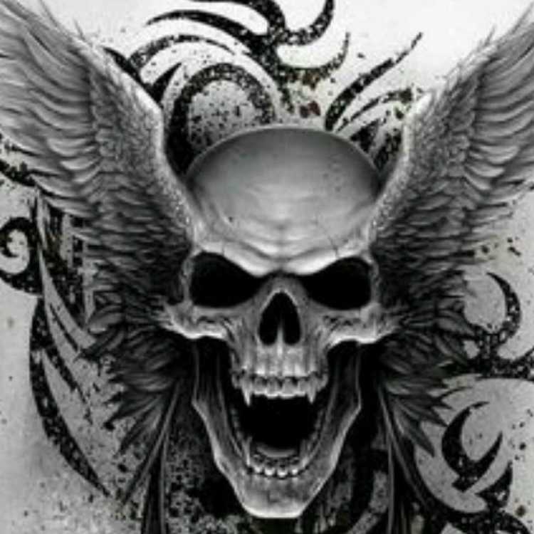 Череп с крыльями