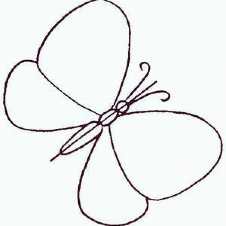 Бабочка рисунок карандашом легко