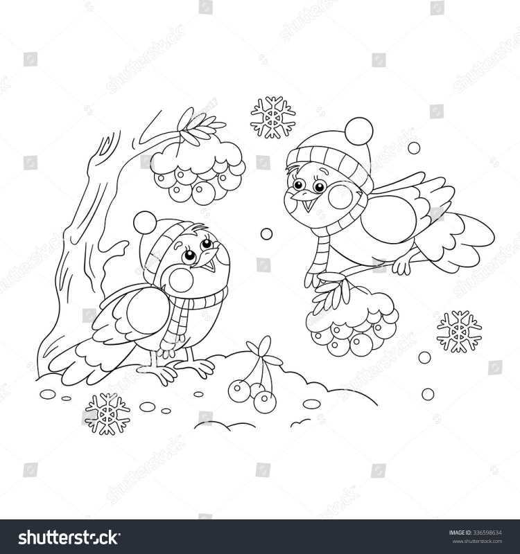 2 Снегиря на одной раскраске