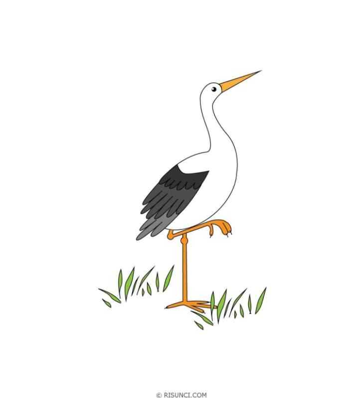 Аист раскраска для детей
