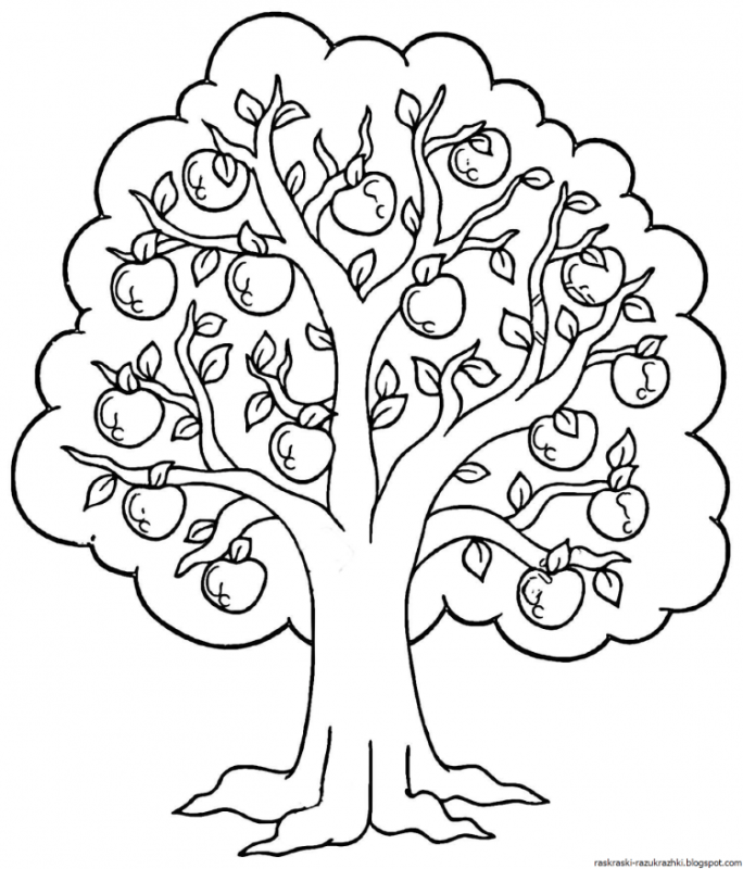 Генеалогическое дерево раскраска