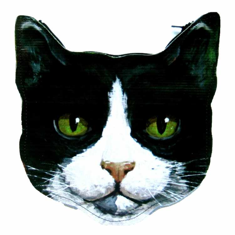 Морда кота без фона