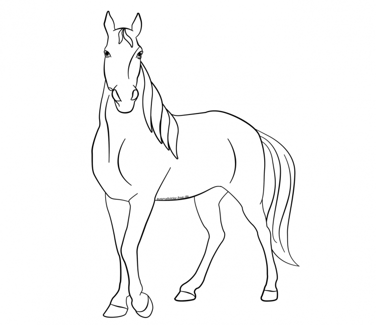 Сказочные лошади раскраска