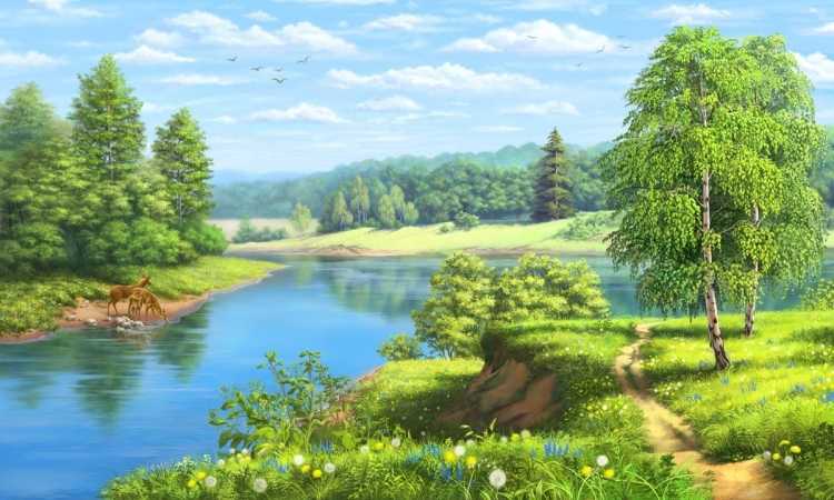 Летние пейзажи живопись