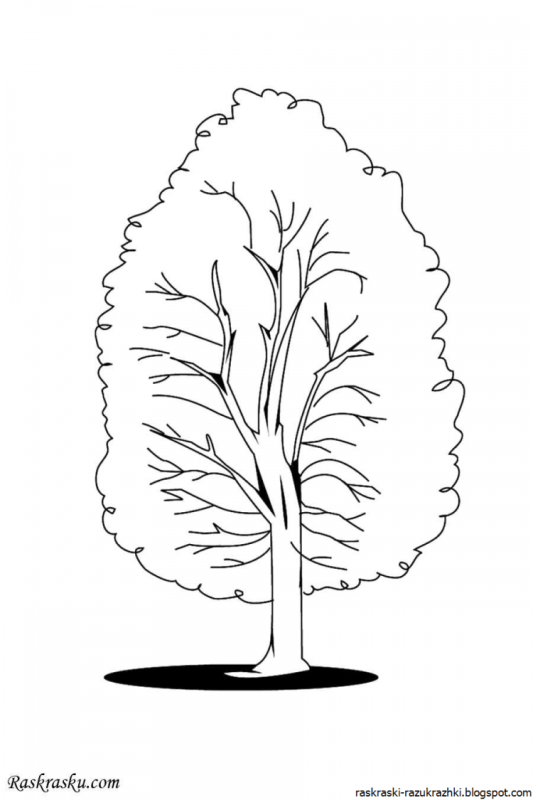 Стилизация дерева береза