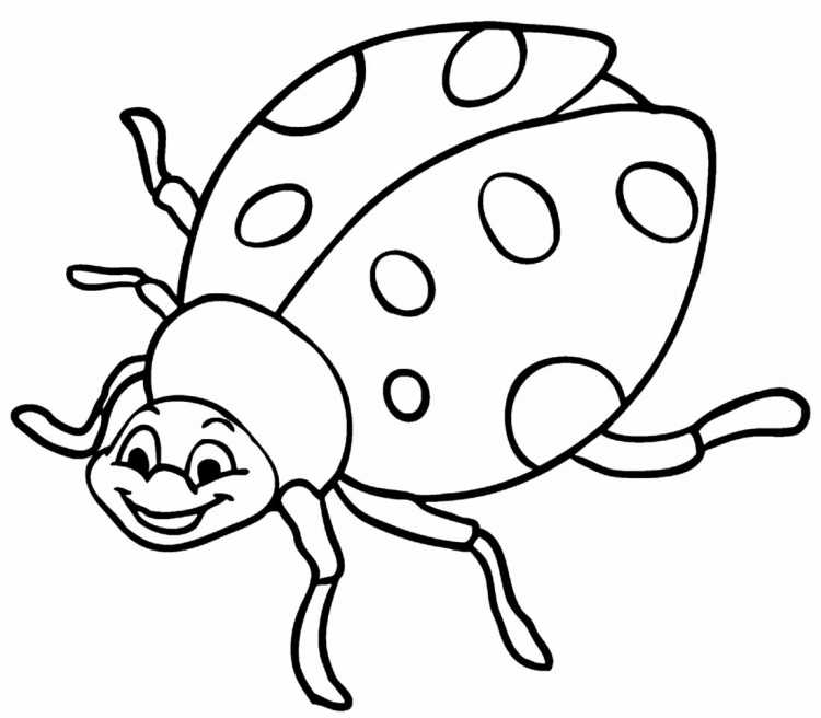 Божья коровка раскраска