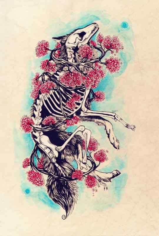 Крылья демона мальчиков