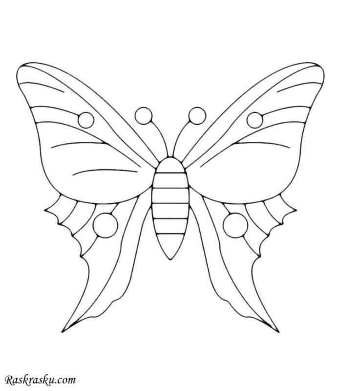 Бабочка шаблон для раскрашивания
