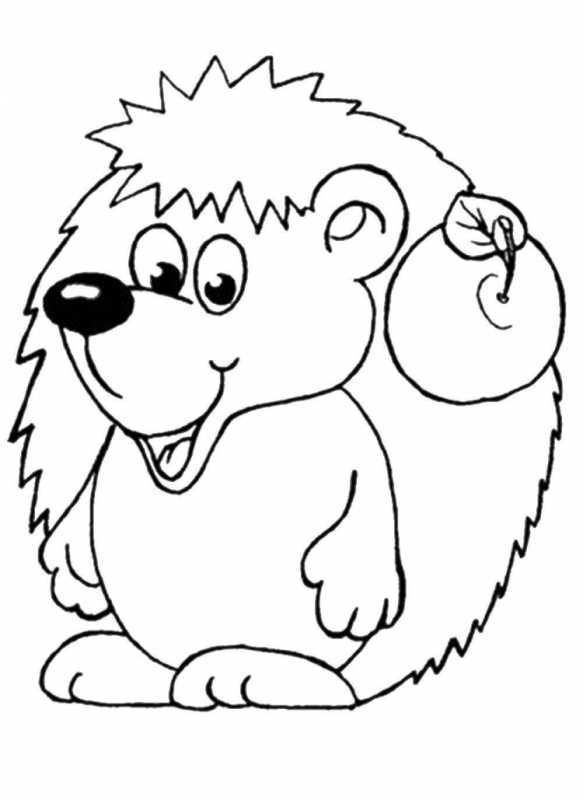 Маленький Ежик раскраска