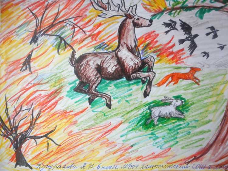 Рисунок на тему лес боится огня