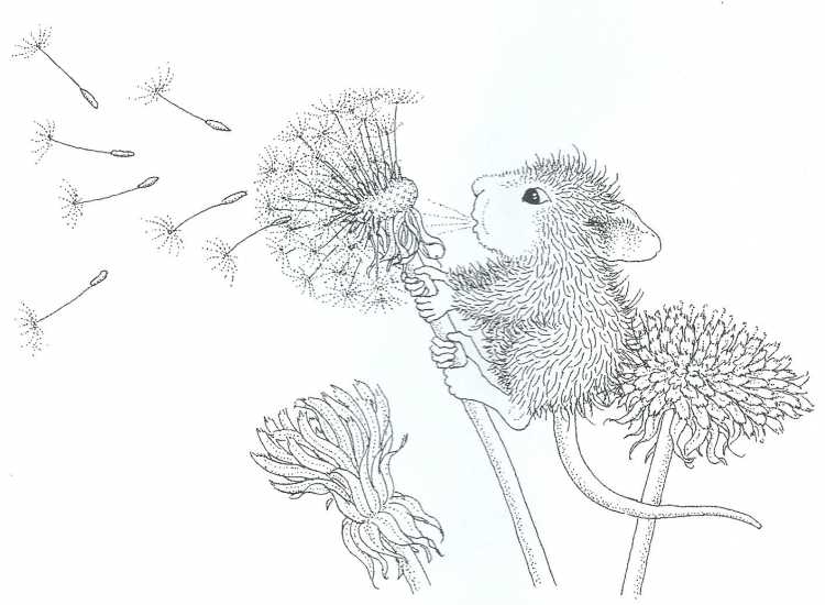 Одуванчик черно белый контур