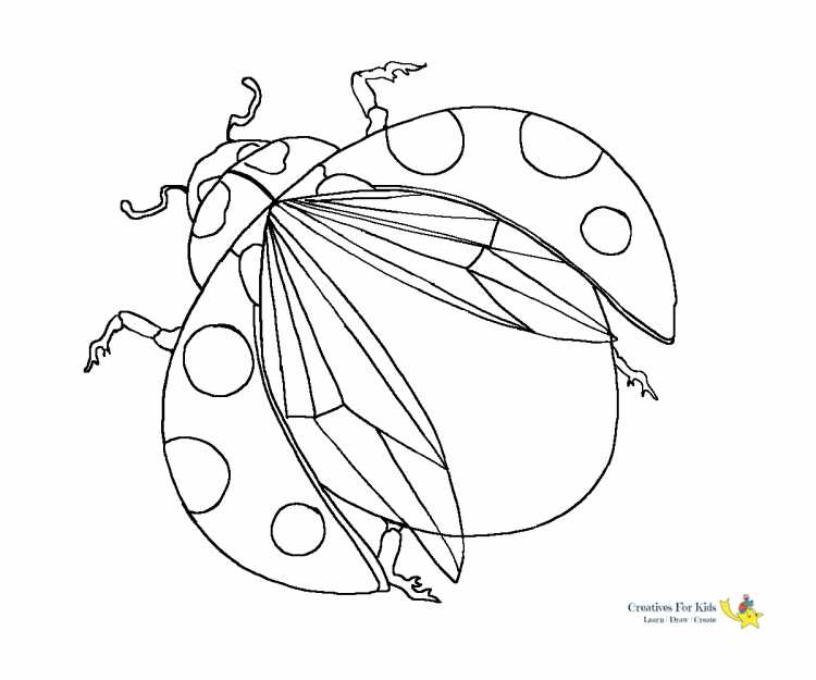 Раскраска насекомые Муха