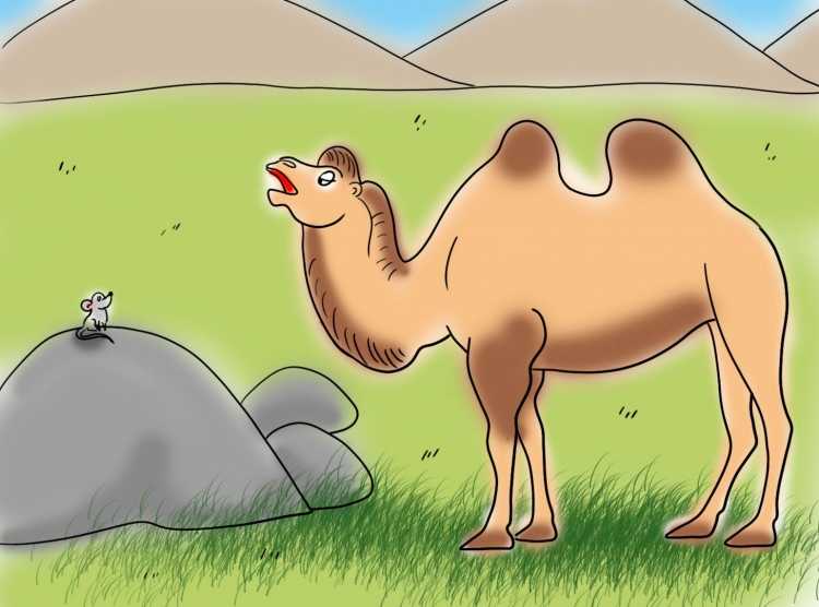Верблюд для детей